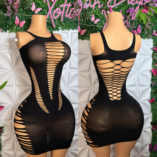 Slit Mesh Dress with Ribbed Back One Size Fits All