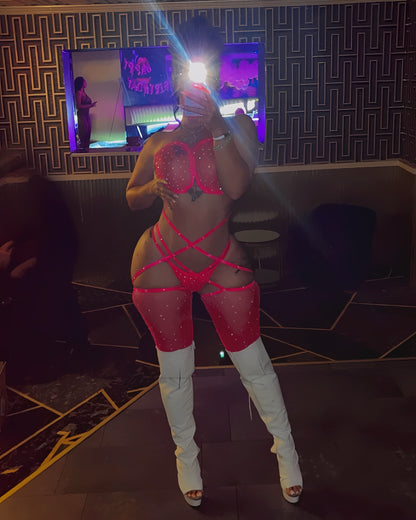 Mrs. Trendsetter Fishnet 3 Piece With Thigh High Garters Fits S-L