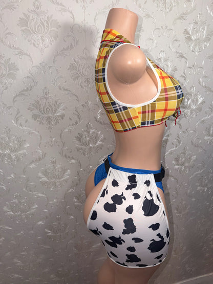 Ride Em Cowgirl 3 Piece Sheer Plaid Top High Waist Bottoms and Chaps